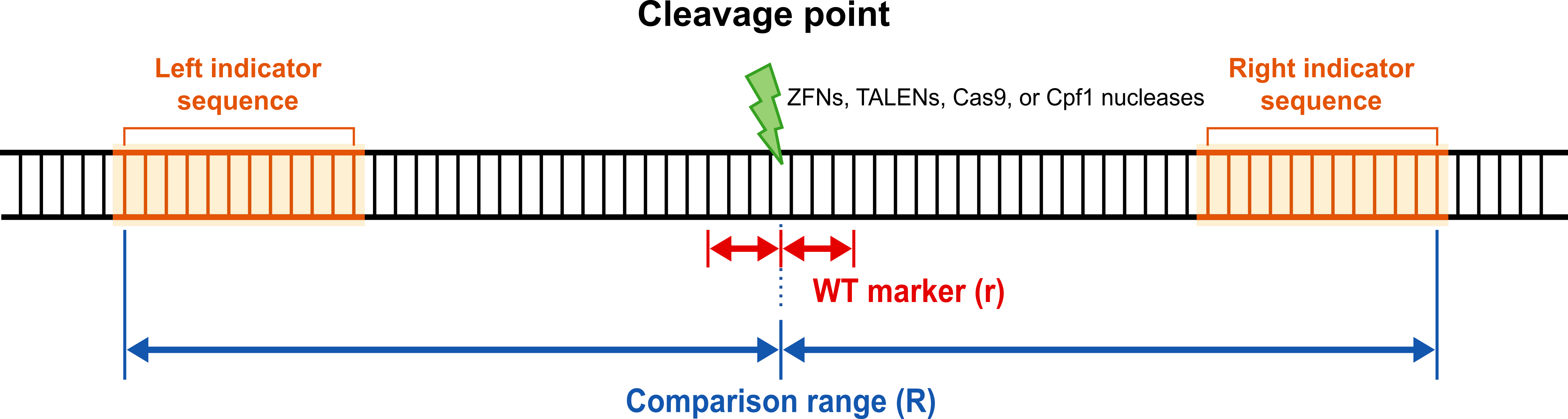 A stretch of DNA with the cleavage point at its centre: the WT marker r spans r bp either side of it, the comparison range R spans R bp either side, and the indicator sequences anchor each end of that range