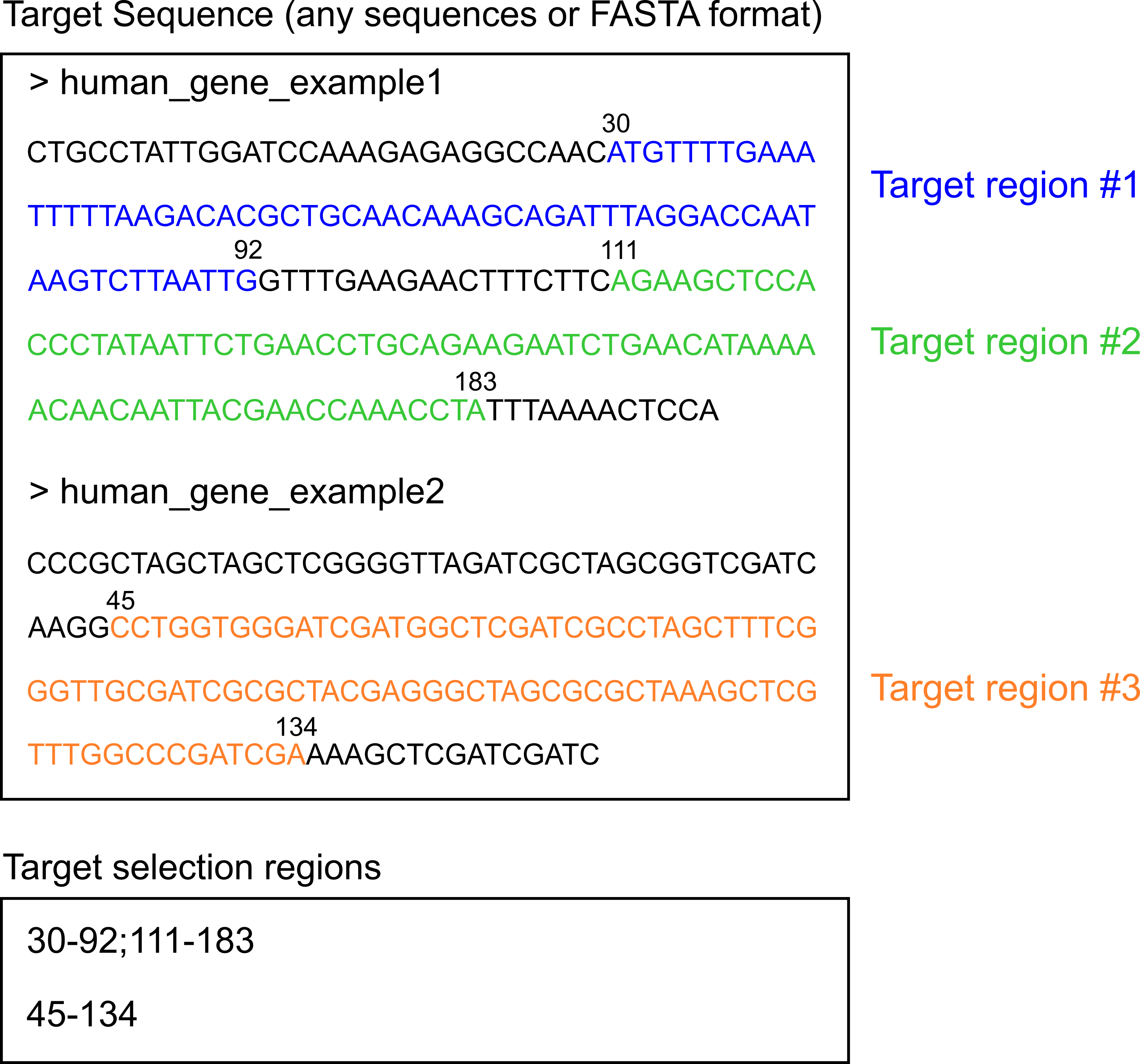 Example of target searching ranges across multiple FASTA sequences